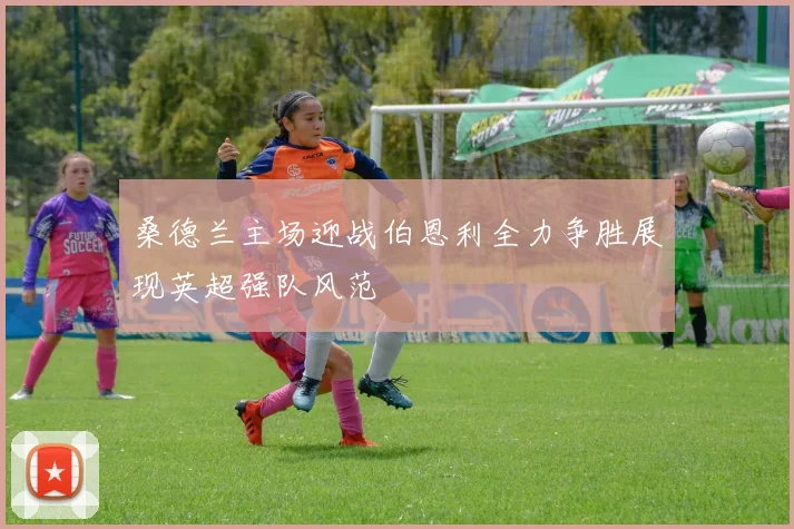 桑德兰主场迎战伯恩利全力争胜展现英超强队风范