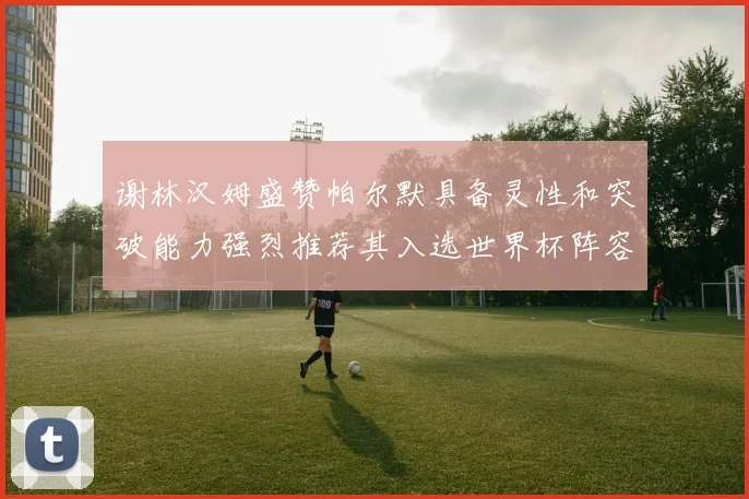 谢林汉姆盛赞帕尔默具备灵性和突破能力强烈推荐其入选世界杯阵容